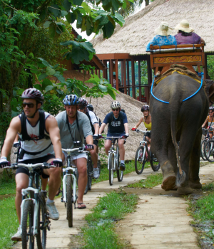 Elephant Park