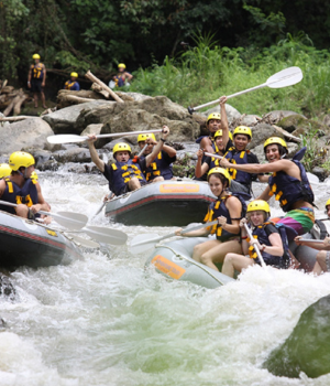 Ayung River