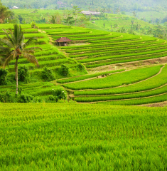Tabanan