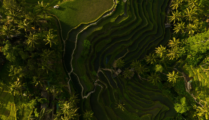 Foreign Tourist Levy