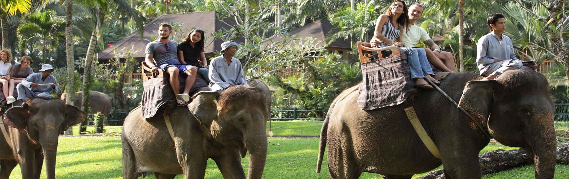 Package Combo Rafting+Cycling+Elephant Ride
